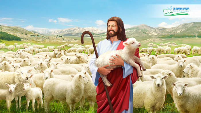 恩典 主耶穌 比喻 迷路的羊
