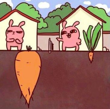 從外表看事把握嗎? ——一幅圖帶來的反思