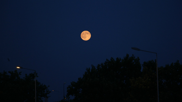 月亮、宁静、夜晚