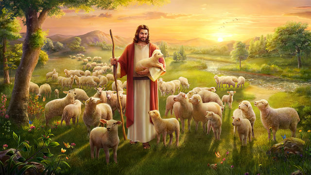 主耶穌和羊