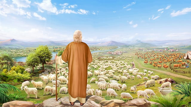約伯,約伯的故事,羊,獻祭,舊約,聖經,約伯記
