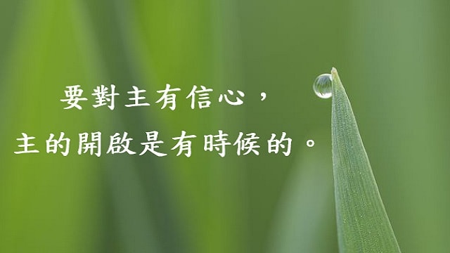 醒悟,感悟,聰明