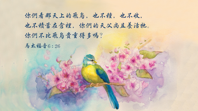 馬太福音,聖經