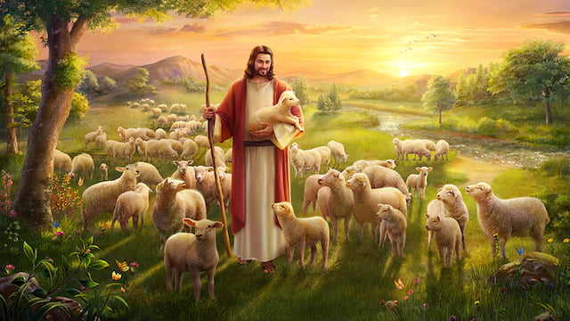 耶穌,迷路羊,羊群