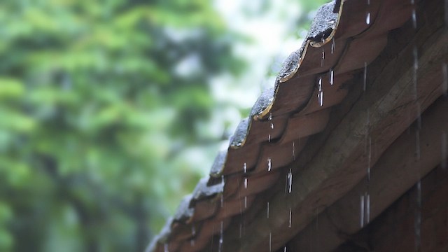 神的主宰,雨