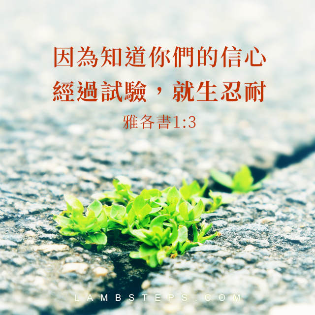 信心的試煉（雅各書1:3）